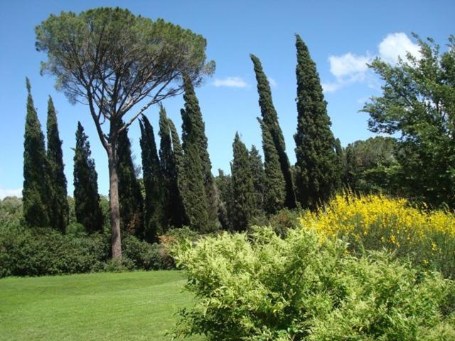 Al Giardino Degli Etruschi Guest House Chiusi Ruang foto